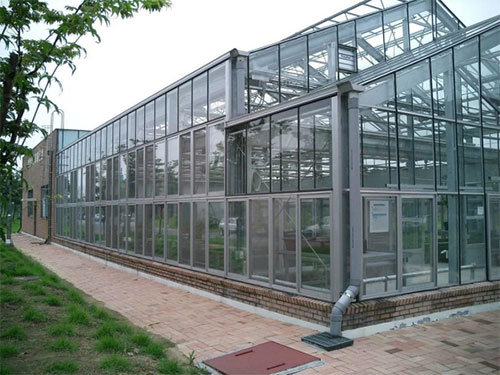 玻璃溫室板房1